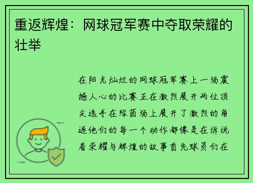 重返辉煌：网球冠军赛中夺取荣耀的壮举